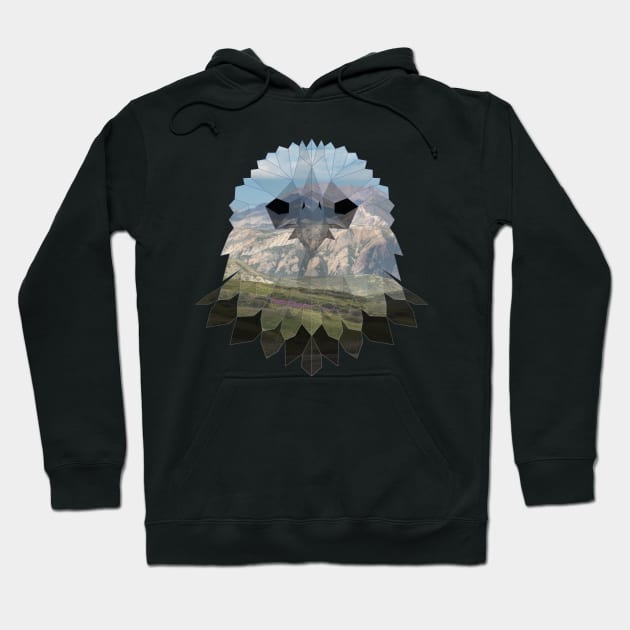 Eagle Low Poly Double Exposure Art Hoodie by Jay Diloy